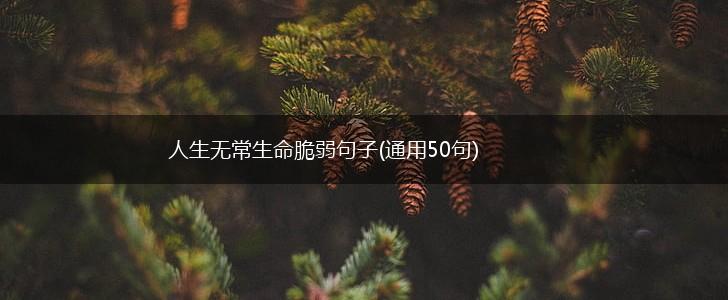 人生无常生命脆弱句子(通用50句),第1张