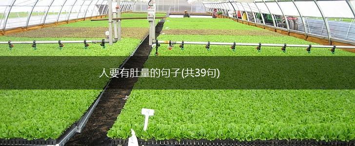 人要有肚量的句子(共39句),第1张 人要有肚量的句子(共39句),第1张