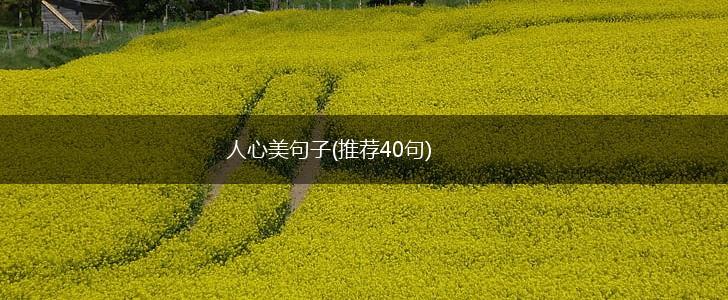 人心美句子(推荐40句),第1张