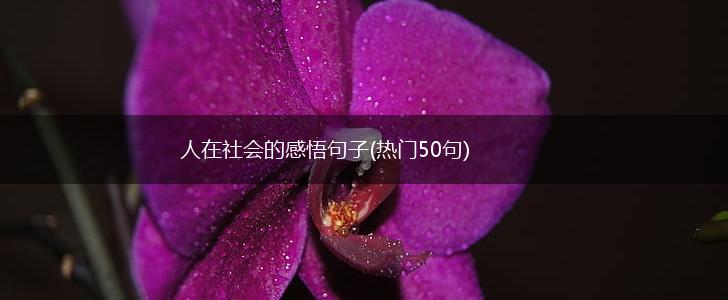 人在社会的感悟句子(热门50句),第1张