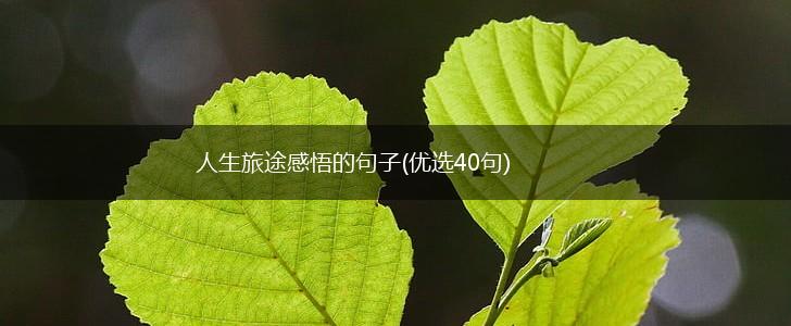 人生旅途感悟的句子(优选40句),第1张