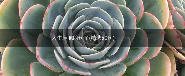 人生启航的句子(精选50句),第1张