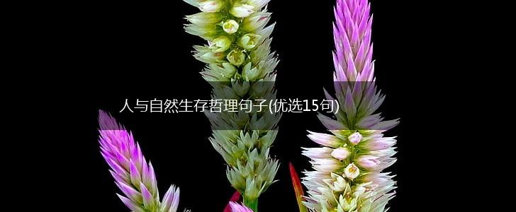 人与自然生存哲理句子(优选15句),第1张