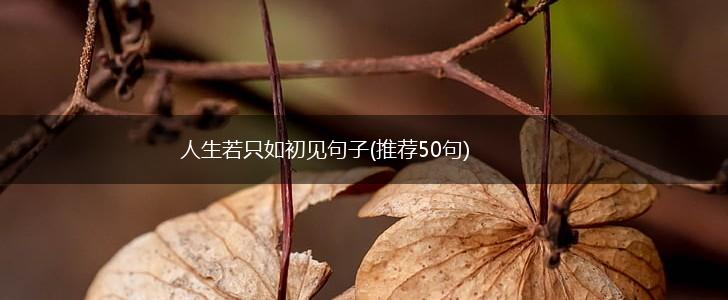 人生若只如初见句子(推荐50句),第1张