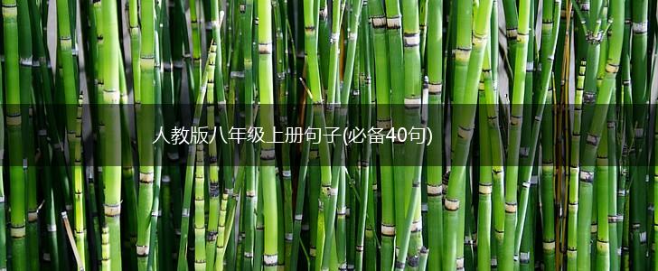 人教版八年级上册句子(必备40句),第1张
