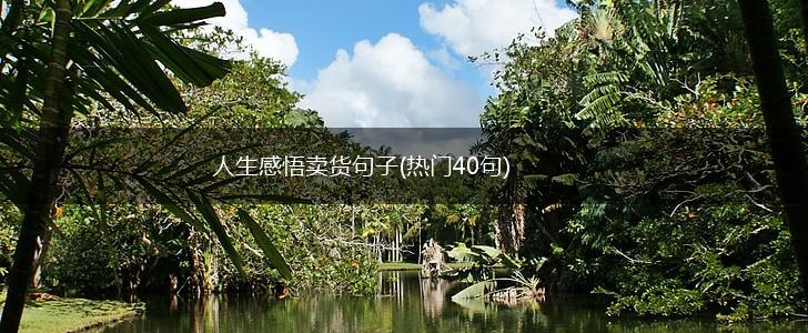 人生感悟卖货句子(热门40句),第1张