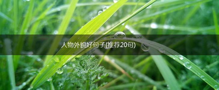 人物外貌好句子(推荐20句),第1张