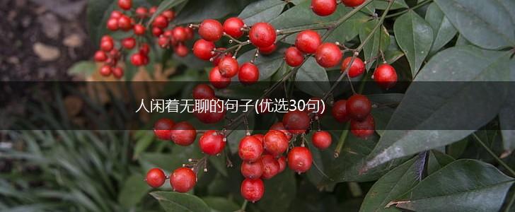 人闲着无聊的句子(优选30句),第1张