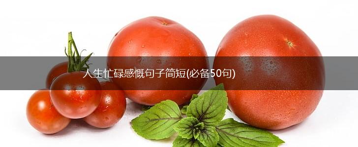 人生忙碌感慨句子简短(必备50句),第1张