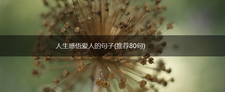 人生感悟爱人的句子(推荐80句),第1张