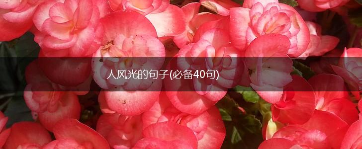 人风光的句子(必备40句),第1张