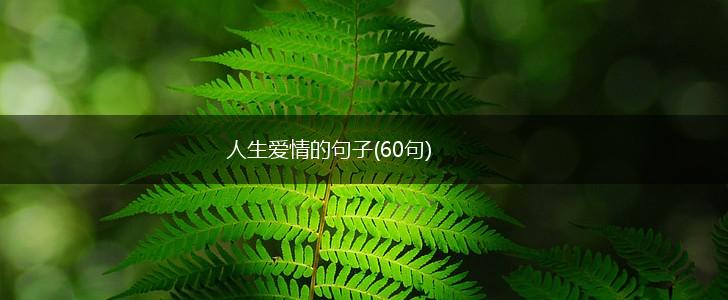 人生爱情的句子(60句),第1张