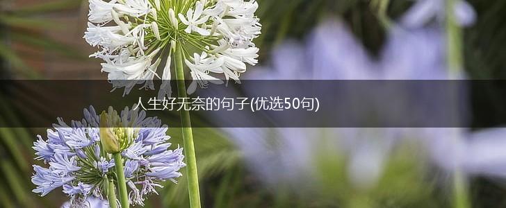 人生好无奈的句子(优选50句),第1张