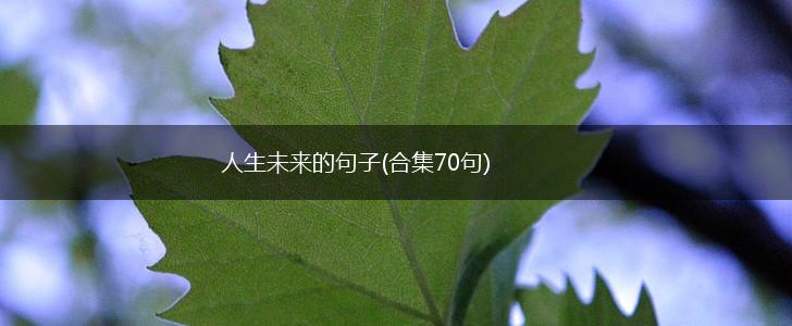 人生未来的句子(合集70句),第1张