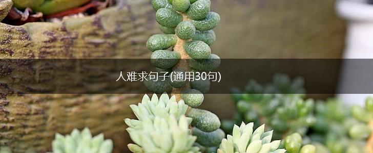人难求句子(通用30句),第1张
