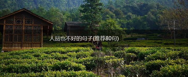 人品也不好的句子(推荐80句),第1张