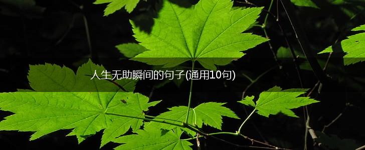 人生无助瞬间的句子(通用10句),第1张