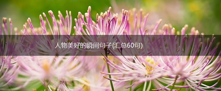 人物美好的瞬间句子(汇总60句),第1张