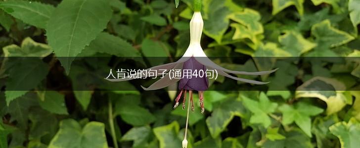 人肯说的句子(通用40句),第1张