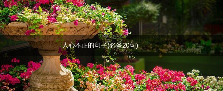 人心不正的句子(必备20句),第1张