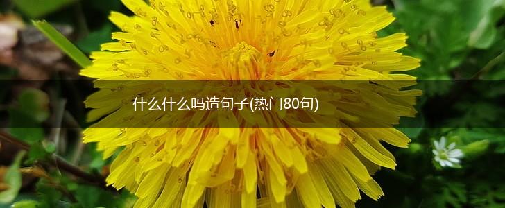 什么什么吗造句子(热门80句),第1张