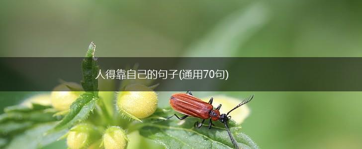 人得靠自己的句子(通用70句),第1张