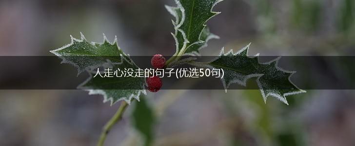 人走心没走的句子(优选50句),第1张