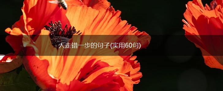 人走错一步的句子(实用60句),第1张