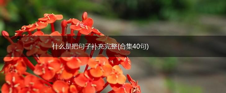 什么是把句子补充完整(合集40句),第1张