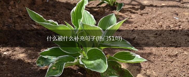 什么被什么补充句子(热门51句),第1张 什么被什么补充句子(热门51句),第1张