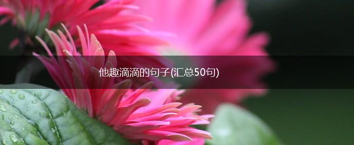 他趣滴滴的句子(汇总50句),第1张