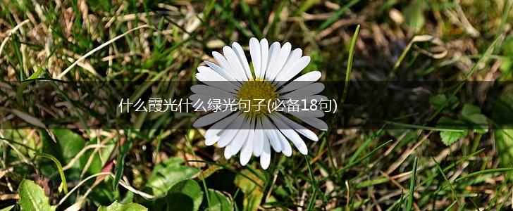 什么霞光什么绿光句子(必备18句),第1张