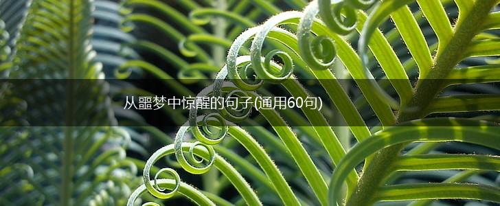 从噩梦中惊醒的句子(通用60句),第1张
