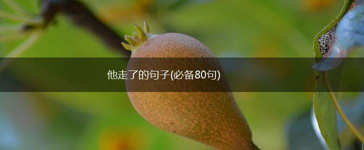 他走了的句子(必备80句),第1张