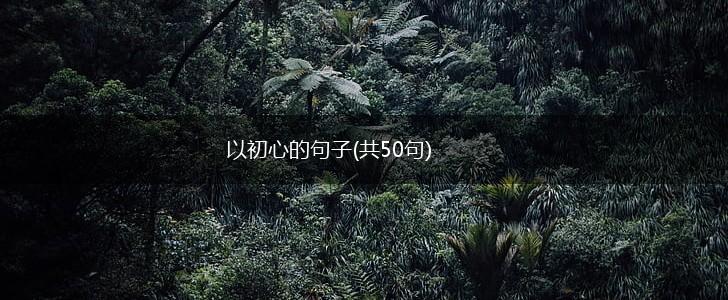 以初心的句子(共50句),第1张