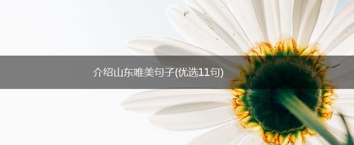 介绍山东唯美句子(优选11句),第1张