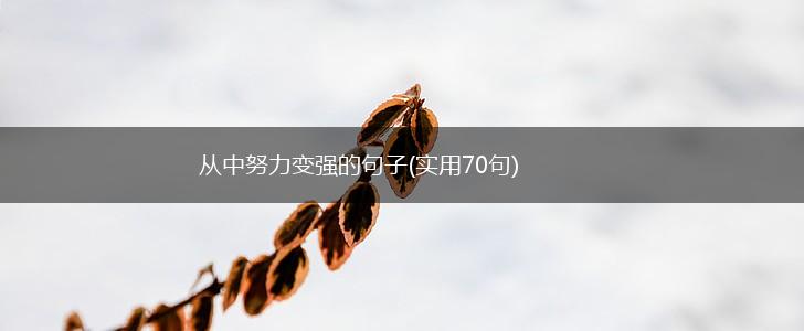 从中努力变强的句子(实用70句),第1张