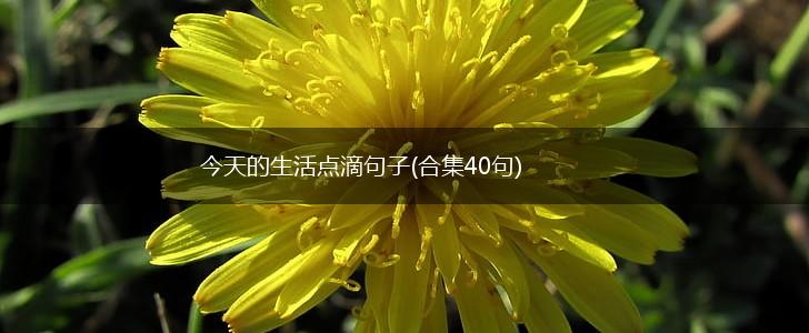 今天的生活点滴句子(合集40句),第1张