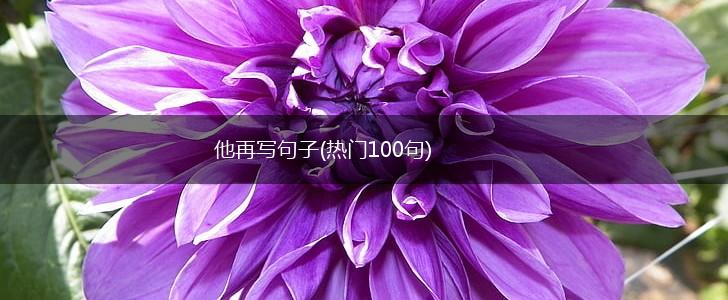 他再写句子(热门100句),第1张
