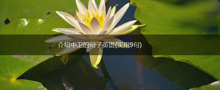 介绍中卫的句子英语(实用9句),第1张