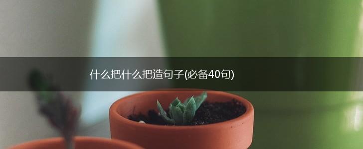 什么把什么把造句子(必备40句),第1张