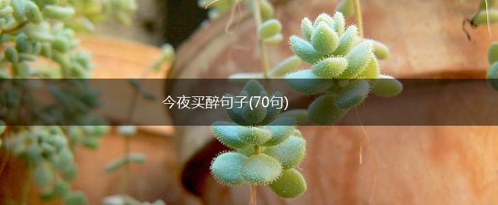 今夜买醉句子(70句),第1张