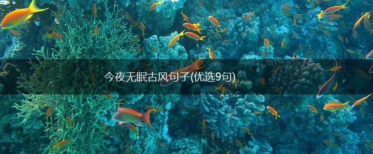 今夜无眠古风句子(优选9句),第1张
