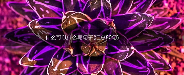 什么可以什么写句子(汇总80句),第1张