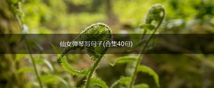 仙女弹琴写句子(合集40句),第1张