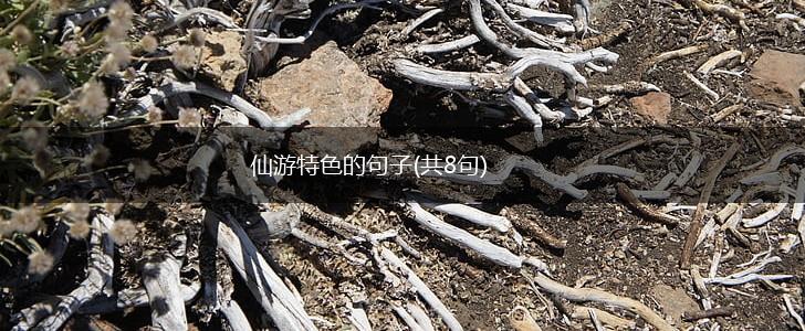 仙游特色的句子(共8句),第1张