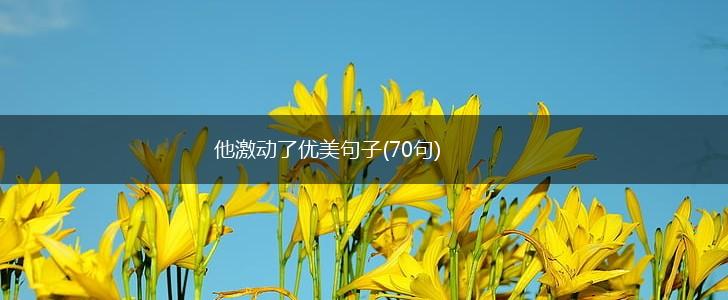 他激动了优美句子(70句),第1张