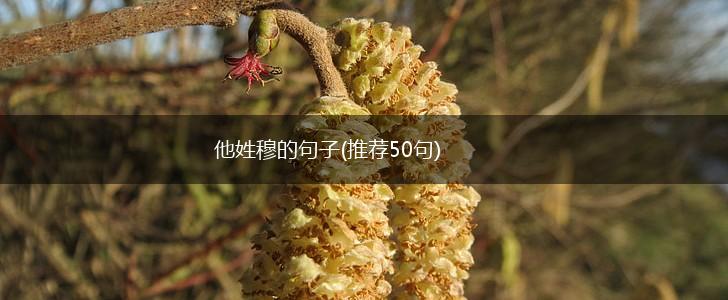 他姓穆的句子(推荐50句),第1张 他姓穆的句子(推荐50句),第1张