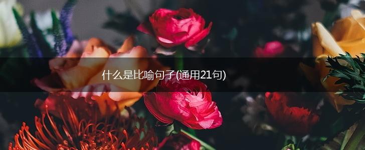 什么是比喻句子(通用21句),第1张