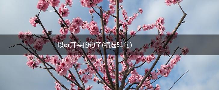 以or开头的句子(精选51句),第1张